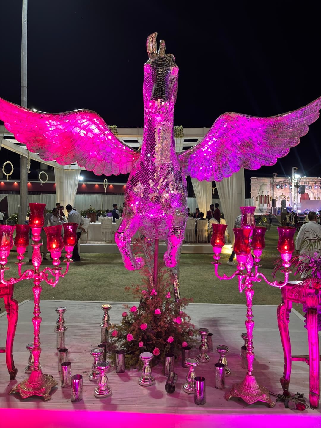 Grand Celebration & Stage Lighting Rajasthan